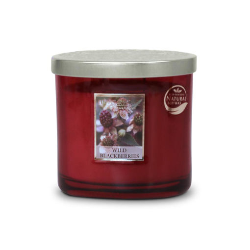 Picture of H&H TWIN WICK SCENTED CANDLE - WILD BLACKBERRIES